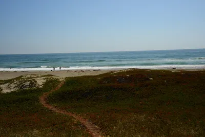 DSC_2505 (Large).JPG